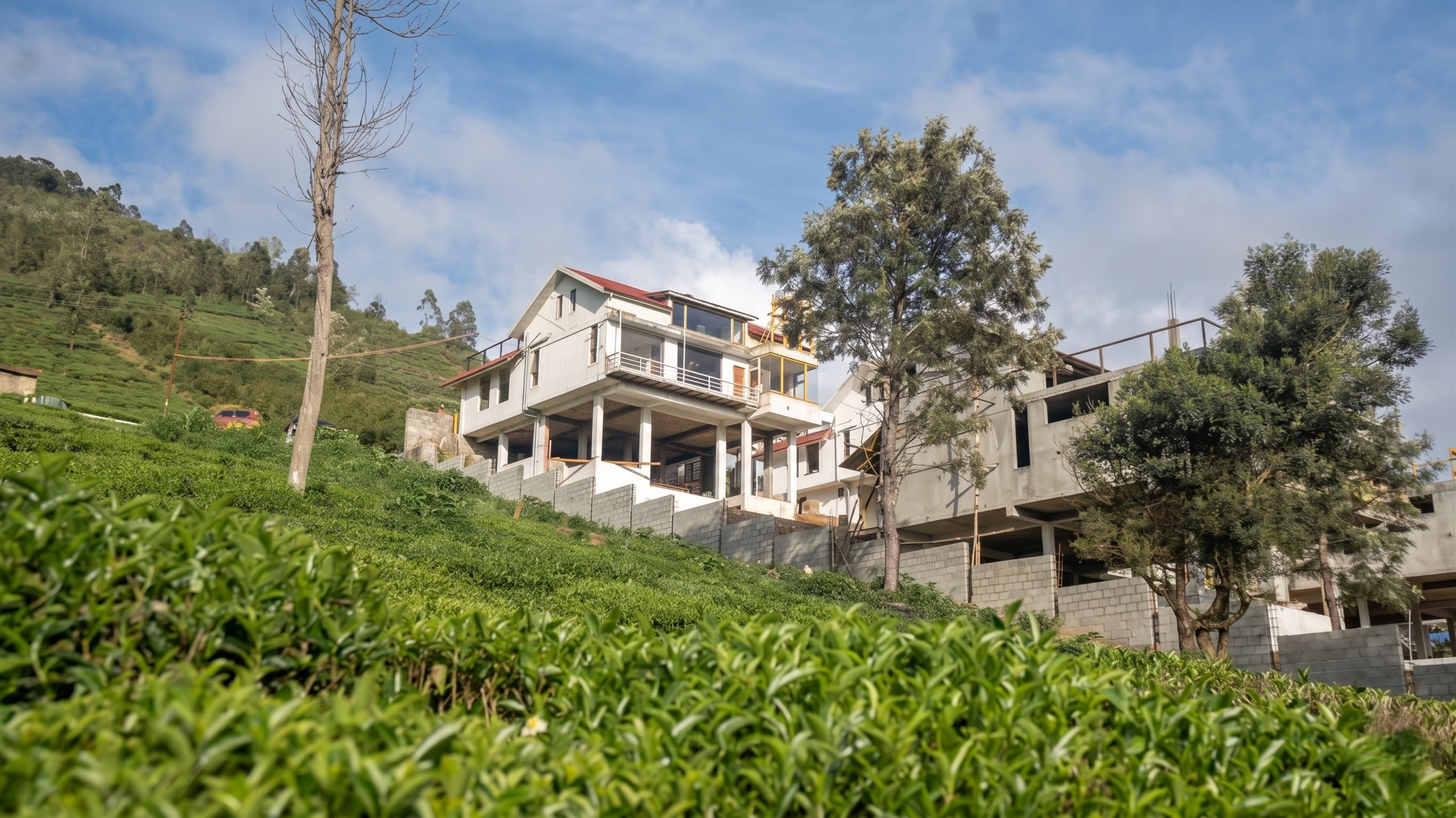 Mist and mornings in the Nilgiris