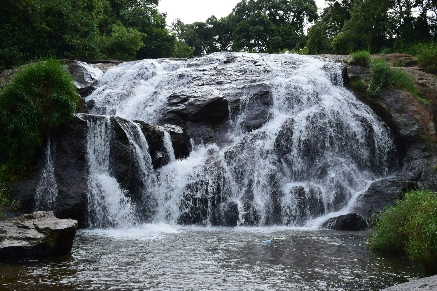 Catherine Falls cascading through green forest